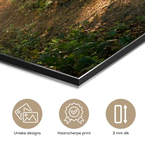 Bos - Bomen - Pad - Zon - Planten - Bladeren - Natuur aluminium wit klein -closeup_NL