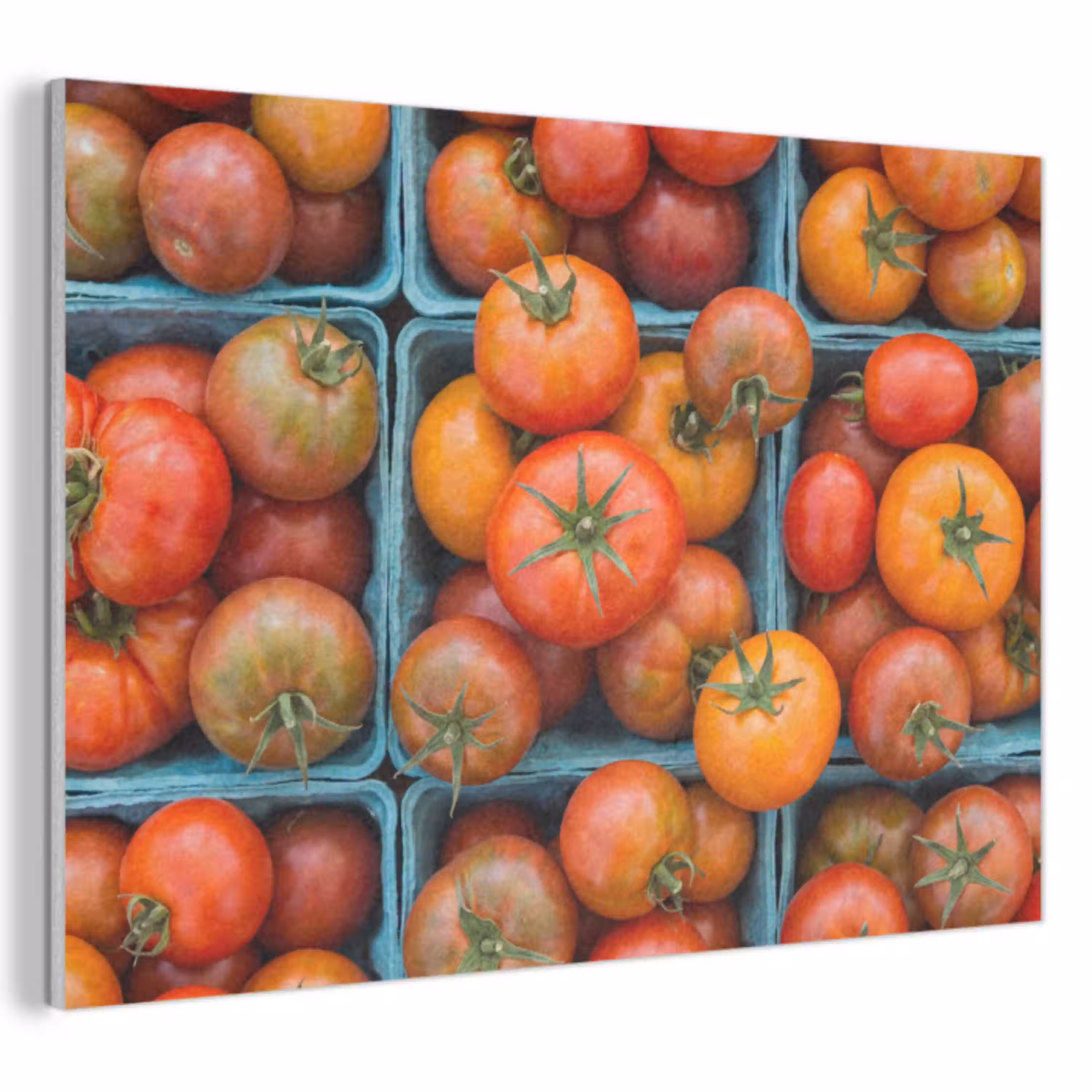 Tomaten - Eten - Kleurrijk PET vilt klein -3d