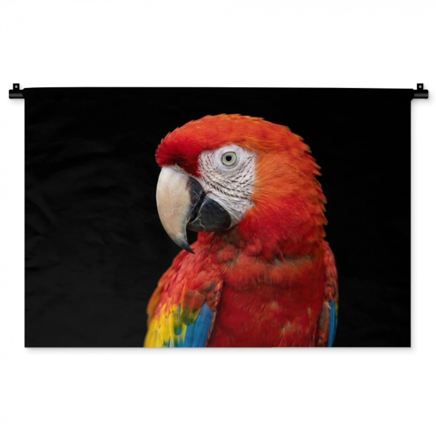 Ara - Portret - Rood Wandkleed katoen middel -zz3d