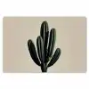Cactus - Subtiel - Groen Placemat vinyl groot -zzsfeer1_Kitchenyeah-website