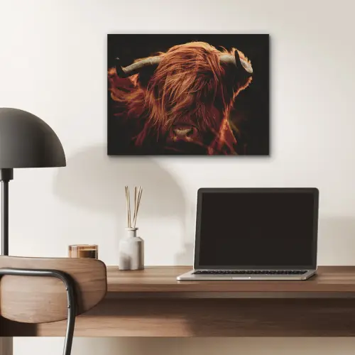 Schotse hooglander - Koe - Hoorns - Portret - Dieren PET vilt klein -sfeer5