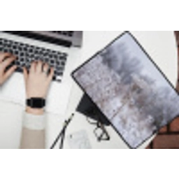 Schermbloem - Rijp - Kristallen - Winter - Delicaat laptophoes neopreen klein -bureau
