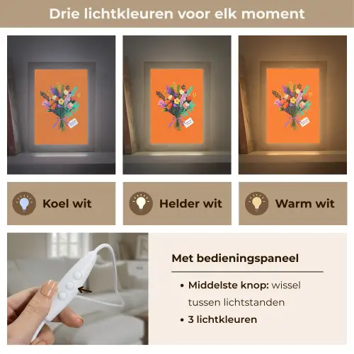 Kaartje - Boeket - Bloemen Light Box met kabel (Tafellamp) klein -USP_lichtkleurNL