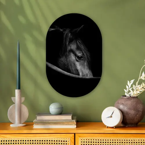 Paarden - Portret - Zwart - Dieren Wandcirkel Ovaal Forex klein -sfeer2