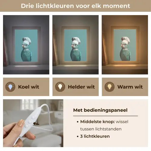 Parkiet - Vogel - Koksmuts - Cute Light Box met kabel (Tafellamp) klein -USP_lichtkleurNL