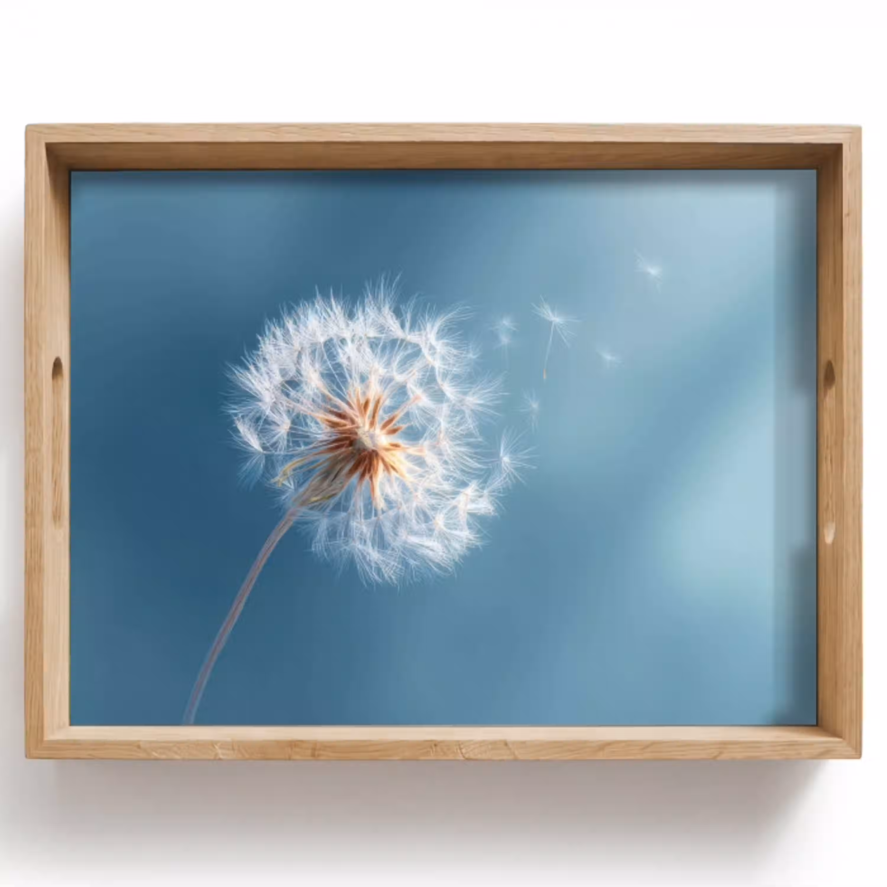 Paardenbloem - Wind - Blauw Dienblad Rechthoek middel -z3d_shopping