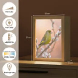 Groenling - Katjes - Lente - Natuur - Zacht Light Box met kabel (Kinderlampje) klein -USP_FR