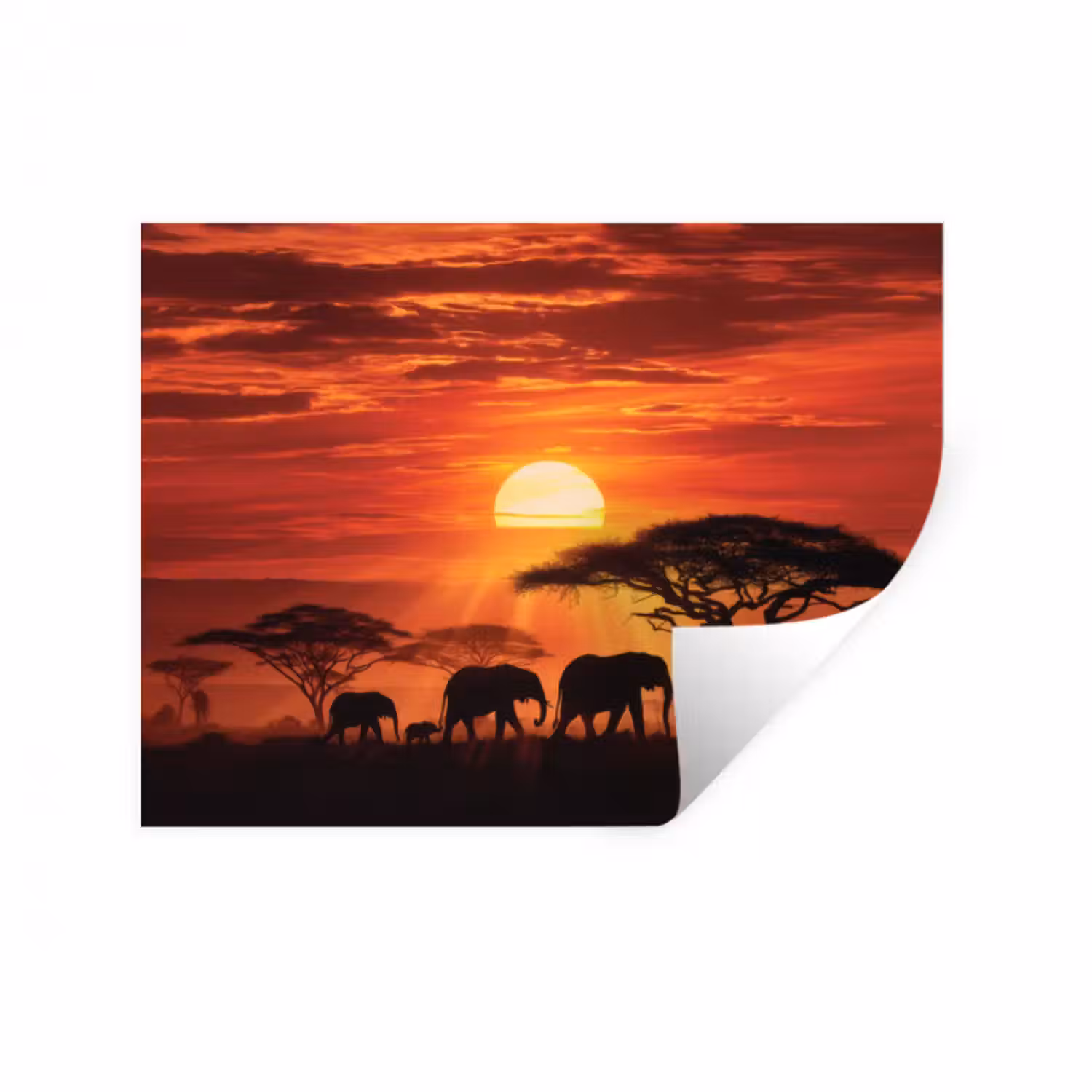 Wandtattoo – Savanne - Elefanten - Sonnenuntergang