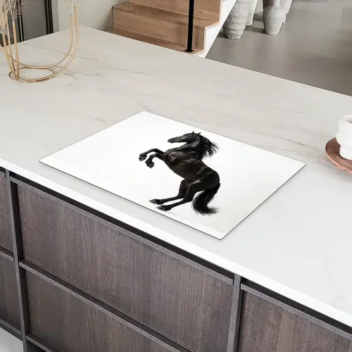 Zwart - Paard - Portret Inductie beschermer vinyl 3mm klein -sfeer8