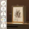 Graan - Pastel - Natuur Light Box met kabel (Tafellamp) klein -USP_NL