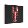 Kreeft - Glossier Rood - Zwart PET vilt klein -3d