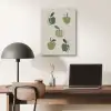 Appels - Groen - Illustratie - Bladeren PET vilt klein -sfeer5