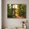 Bos - Pad - Bomen - Groen - Zon - Natuur Textielframe zwart klein -sfeer2