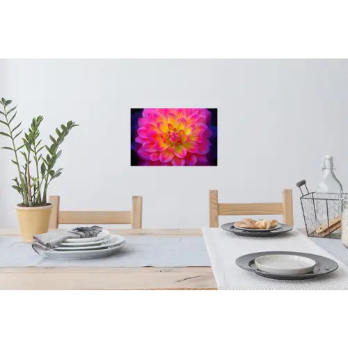 Roze - Dahlia - Kleurrijk Muursticker klein -eettafel