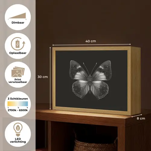 Vlinder - Grijs - Mysterieus Light Box met batterij (Wandlamp) middel -USP_websiteoverzichtNL
