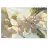 Bloesems - Wit - Zonnestralen -  Bloemblaadjes Deurmat klein -zkaufland3d