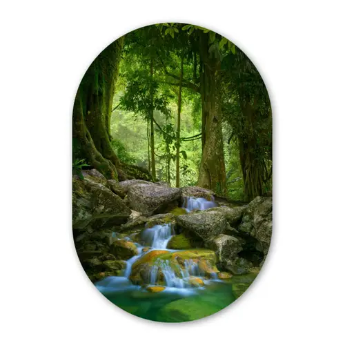 Jungle - Stenen - Water - Natuur - Planten Wandcirkel Ovaal Forex klein -3d