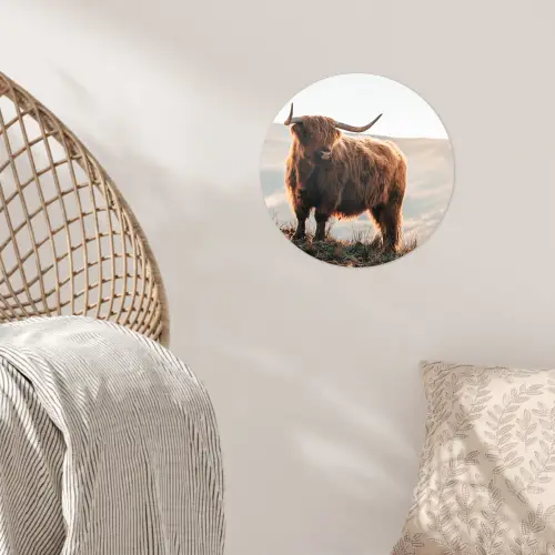 Schotse hooglander - Dieren - Landelijk - Landschap - Koe - Natuur Wandcirkel behangsticker klein -sfeer4