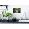 Park - Bloemen - Tuin Muursticker klein -keuken