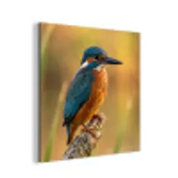 IJsvogel - Tak - Water - Kleurrijk - Levendig aluminium wit klein -3d