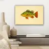 Schubben - Vis - Groen - Illustratie canvas 2cm klein -sfeer6