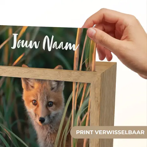 Vos - Oranje - Gras Light Box met kabel (Kinderlampje) klein -USP_websiteprintNL