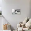 Kat - Siamees - Zwart Wit - Schattig - Dieren Tuinposter op houten frame 2 cm dik klein -sfeer1