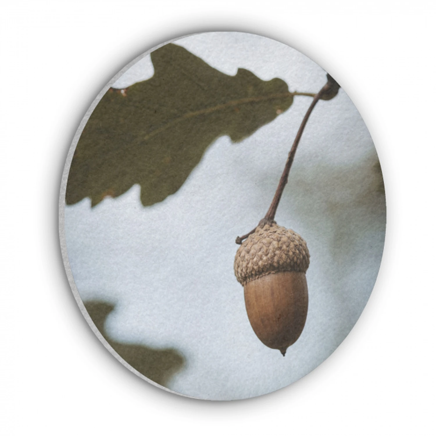 Eikel - Eikenblad - Bos - Herfst - Natuur Akoestische PET Vilt - Rond klein -3d