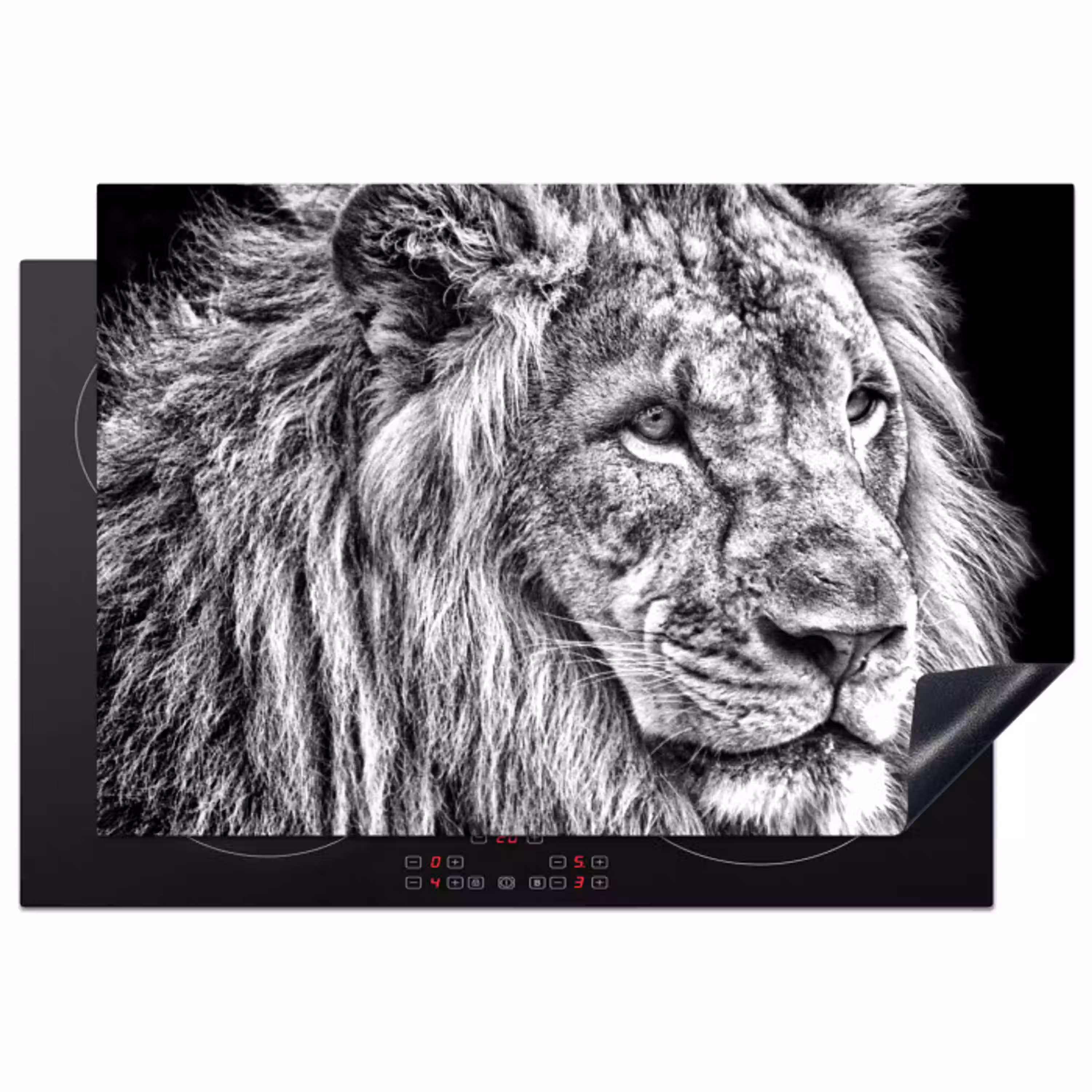 Gravure van een Koning Inductie beschermer vinyl 3mm klein -3d