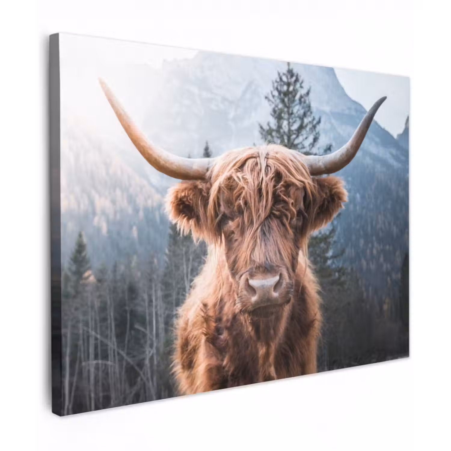 Leinwandbild - Schottischer Hochländer - Kuh - Tiere - Berg - Natur