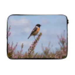 Roodborsttapuit - Heide - Paars - Natuur - Sfeervol laptophoes neopreen klein -3d