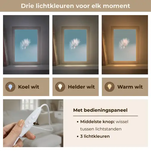 Paardenbloempluisje - Blauw - Lucht Light Box met kabel (Tafellamp) klein -USP_lichtkleurNL