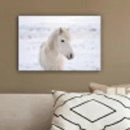 Paard - Kop - Winter - Dieren - Wit canvas 2cm klein -sfeer3