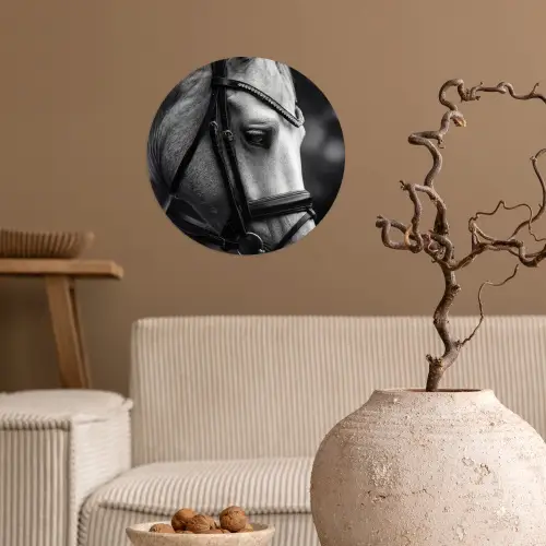 Paard - Schimmel - Portret Wandcirkel behangsticker klein -sfeer1