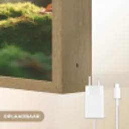 Eekhoorn - Nootje - Gras Light Box met batterij (Wandlamp) middel -USP_websiteoplaadbaarNL