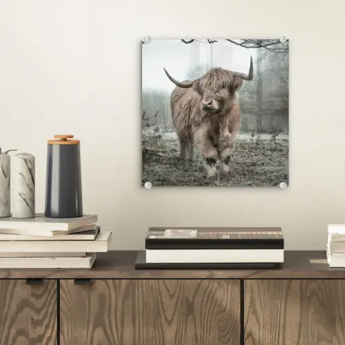 Schotse Hooglander - Bos - Mist - Koe - Dieren - Natuur plexiglas 5mm klein -sfeer1