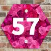 Roze rozen - Traditioneel Naambord Hexagon klein -sfeer2