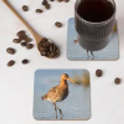 Vogel - Steltloper - Water - Natuur onderzetter kurk middel -sfeer2