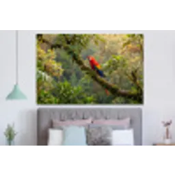 Ara - Jungle - Rood forex 5mm xxl -slaapkamer
