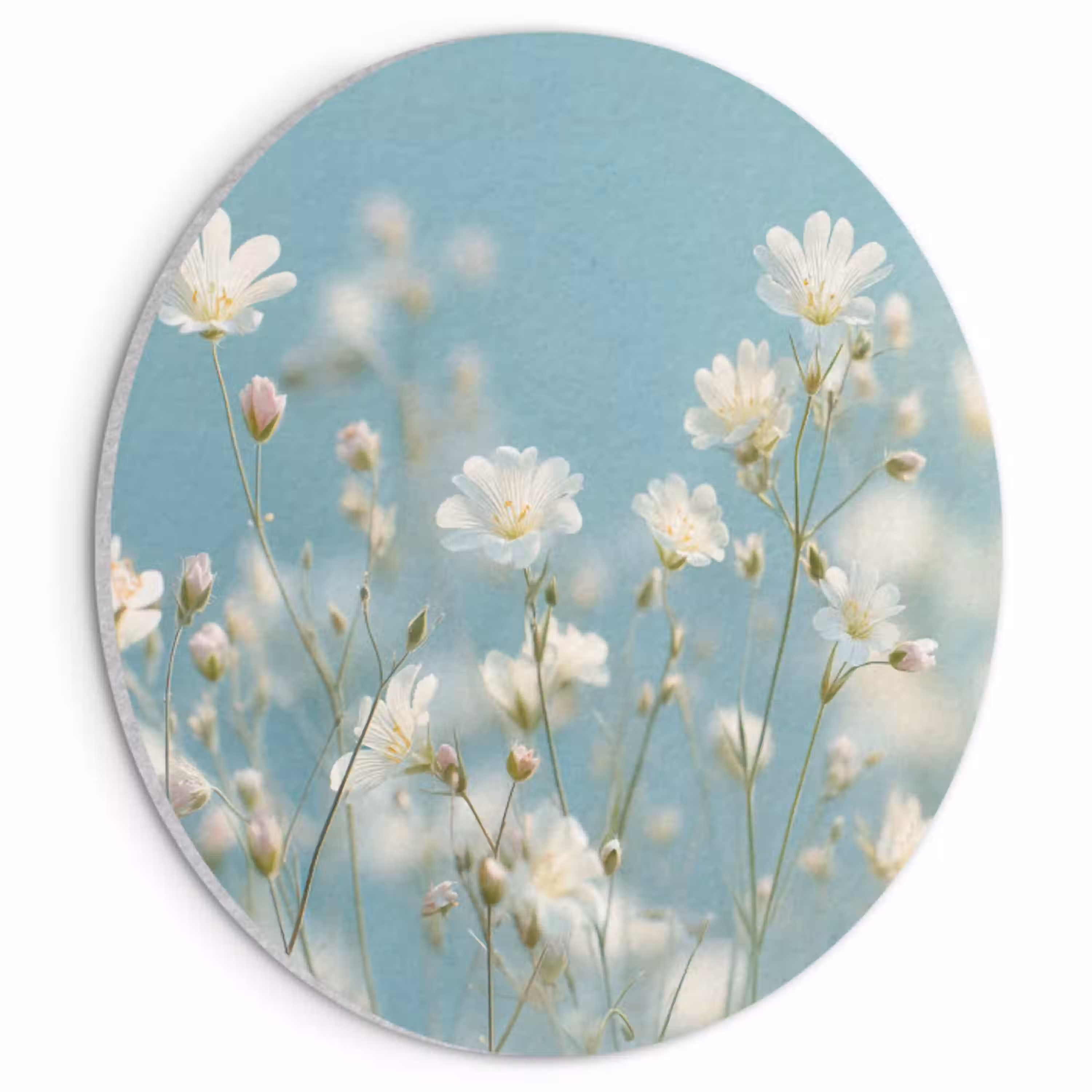 Stängel – Blumen – Luft – Weiß Akoestische PET Vilt - Rond klein -3d