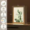 Cactus - Groen - Minimalistisch Light Box met kabel (Tafellamp) klein -USP_NL