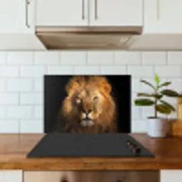 Leeuw - Dieren - Zwart - Licht - Bruin - Portret keuken achterwand spatscherm klein -sfeer2