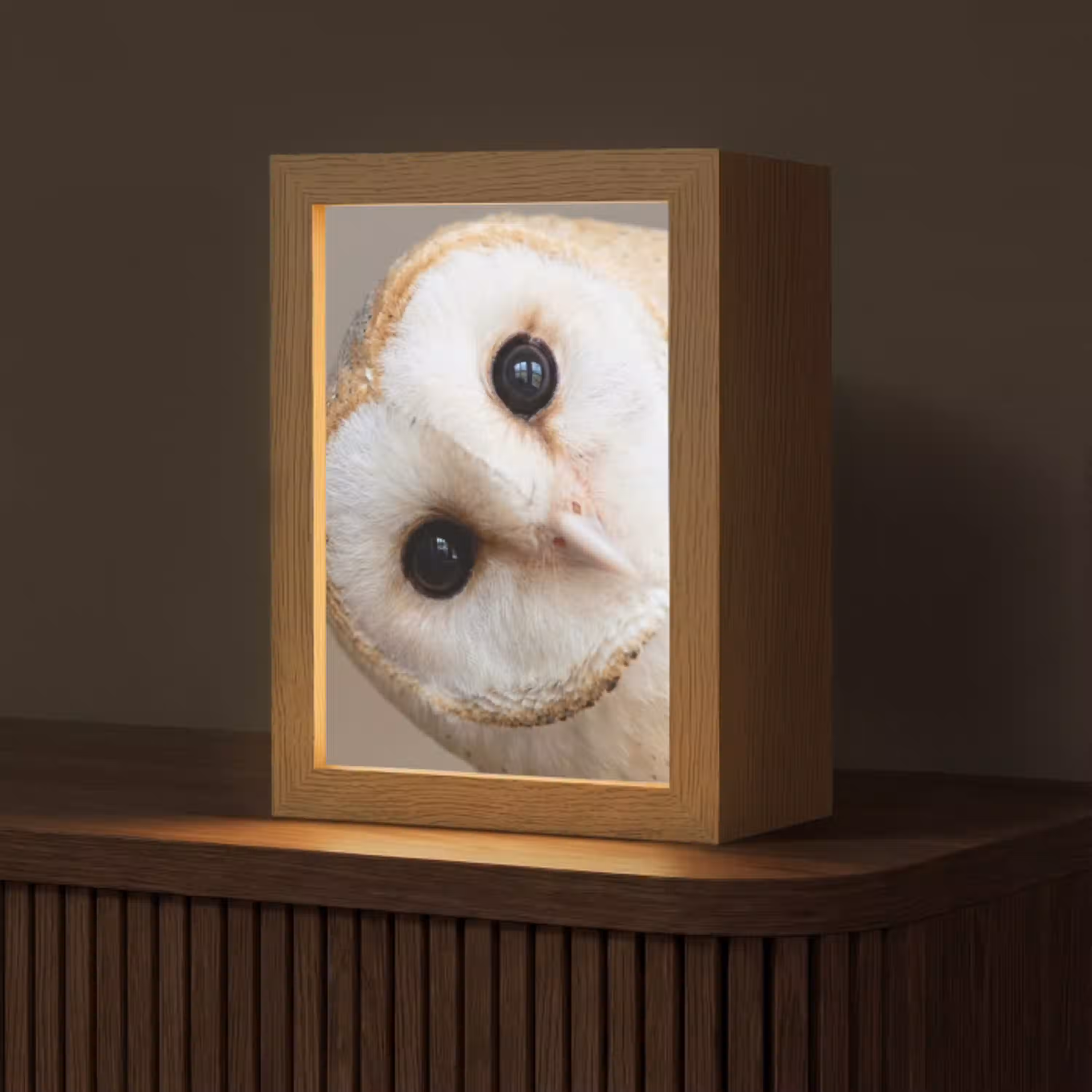 Uil - Bruin - Wit Light Box met kabel (Tafellamp) klein -z3d_website