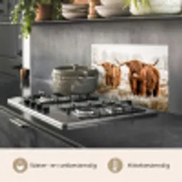 Schotse hooglander - Koe - Natuur - Winter keuken achterwand spatscherm klein -usp_NL