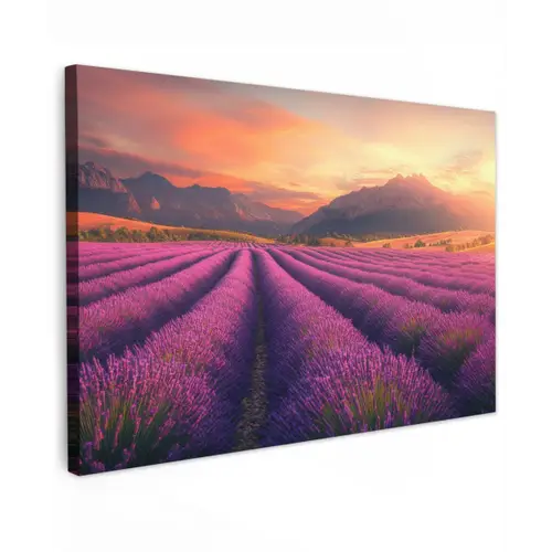 Lavendelveld - Zonsondergang - Paars canvas 2cm klein -z3d