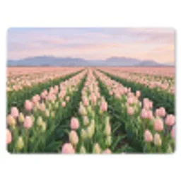 Tulpen - Landschap - Roze muismat rubber klein -3d