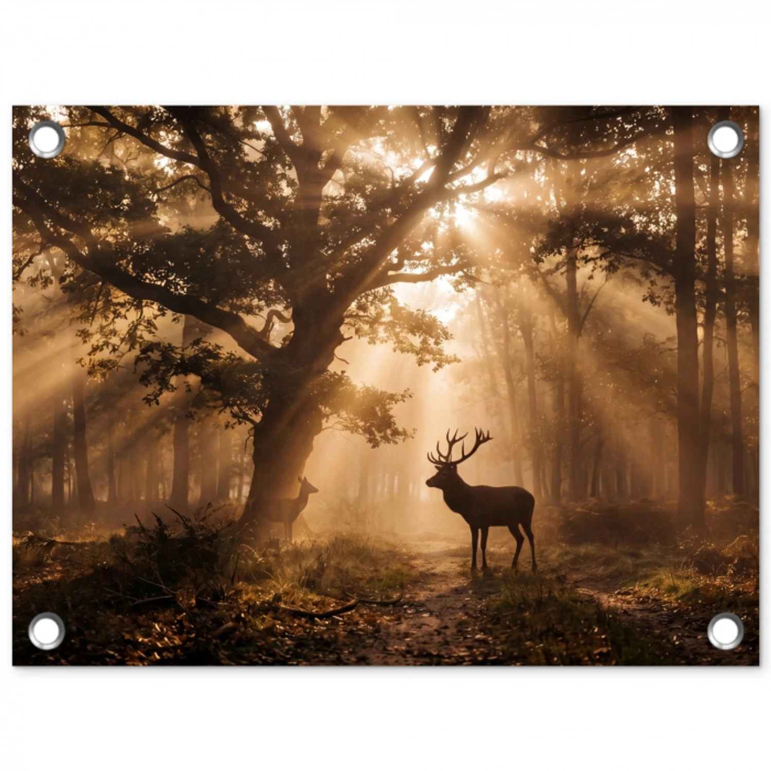 Hert - Bos - Mistig - Natuur - Goud tuinposter los doek klein -3d