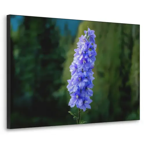 Bloemen - Blauw - Dennenboom Textielframe zwart klein -3d
