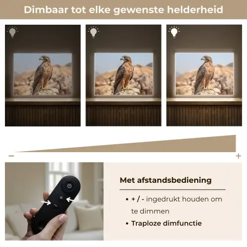 Valk - Vogel - Rots - Macht Light Box met batterij (Wandlamp) middel -USP_dimbaarNL