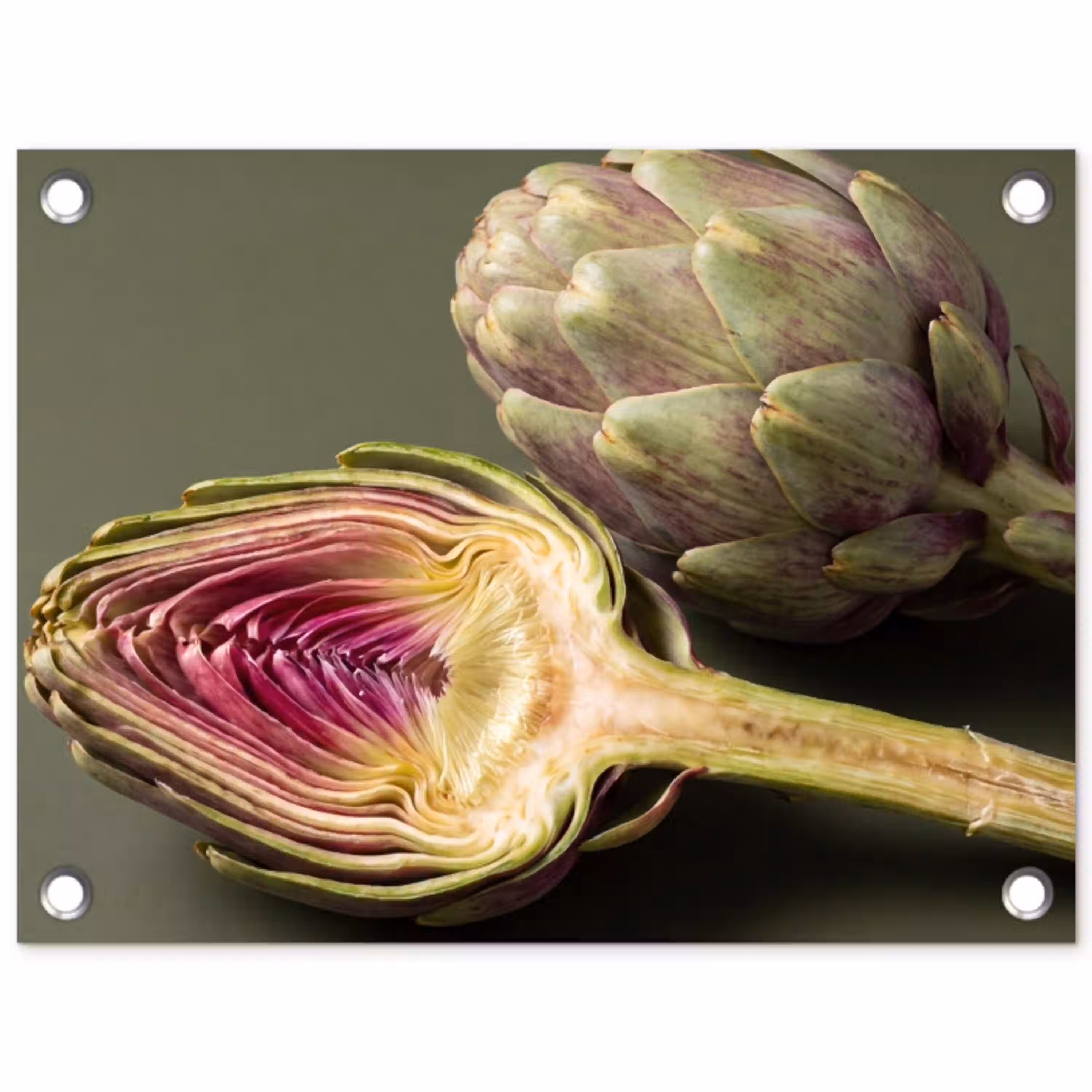 Artisjok - Paars - Voedsel tuinposter los doek klein -3d